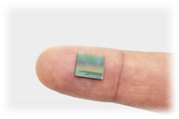 Finger Chip